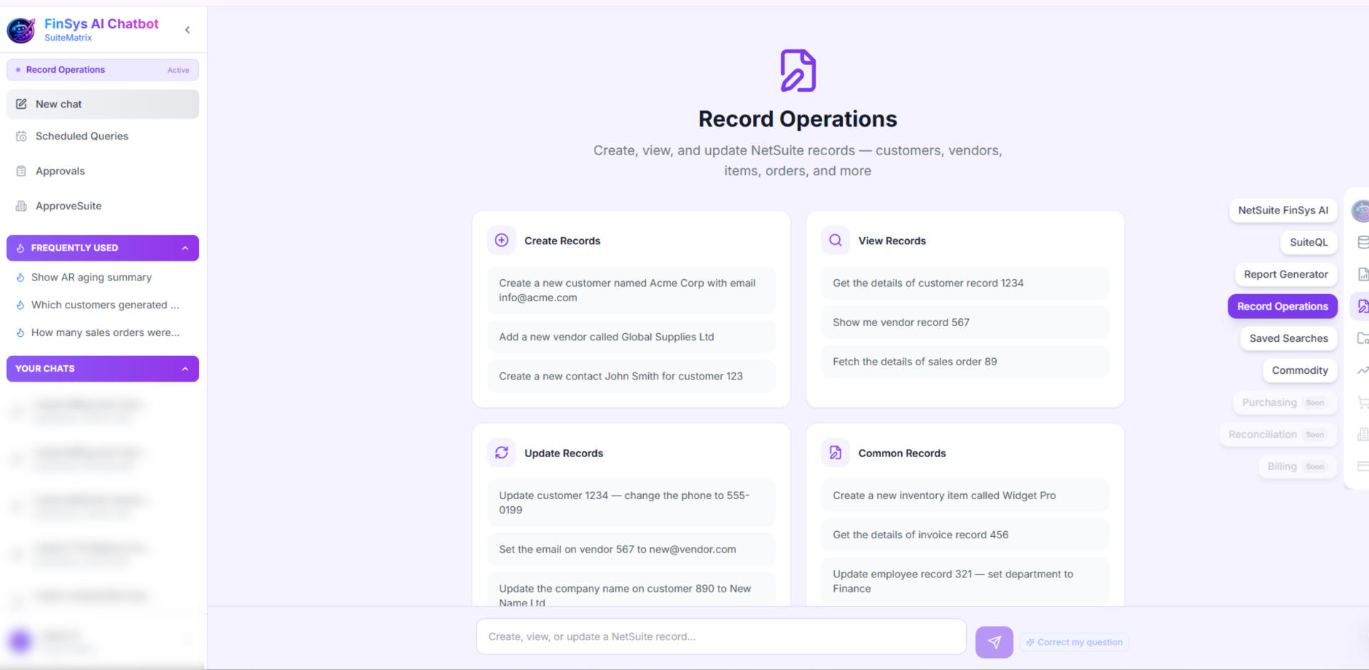 Record / CRUD Operations — FinSys AI screenshot